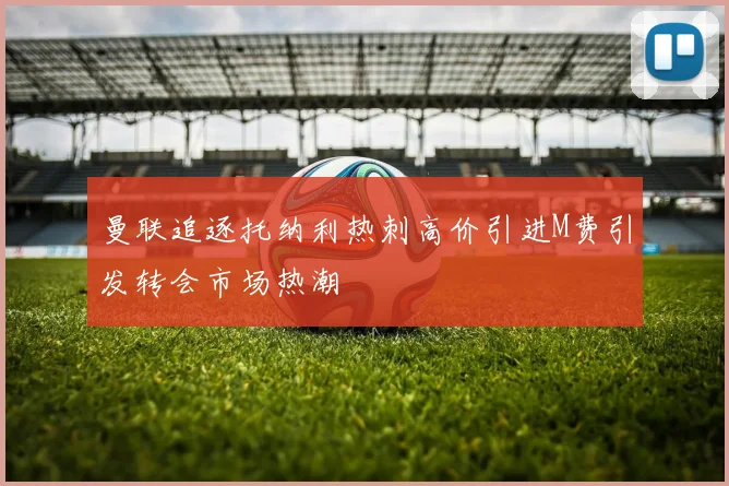 曼联追逐托纳利热刺高价引进M费引发转会市场热潮