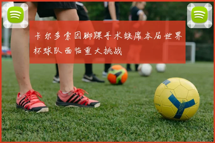 卡尔多索因脚踝手术缺席本届世界杯球队面临重大挑战