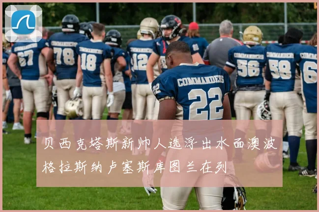 贝西克塔斯新帅人选浮出水面澳波格拉斯纳卢塞斯库图兰在列