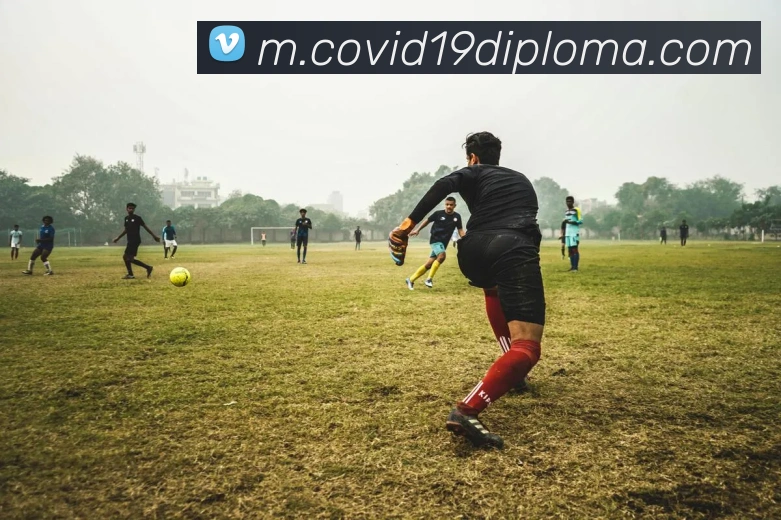 对战数据统计
